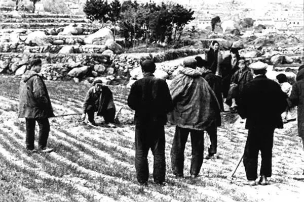 深有感触|70、80年代农村缩影，深有感触，回忆满满
