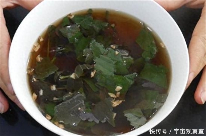 紫苏叶加生姜泡水喝的功效(紫苏叶加生姜泡水喝，老一辈人的养生秘诀，很多人都不知道)
