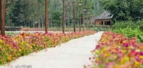  治愈|《向往的生活》第四季治愈来袭，“每一天，都要好好过”