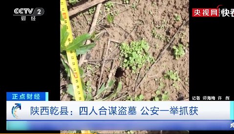 古墓|四沙雕摸金校尉盗墓寻宝! 工具不行挖一米就放弃 民警:非真古墓