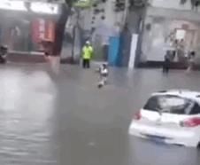  负责|心真大，女子马路上潜水险遭车撞，成年人要对自己的行为负责