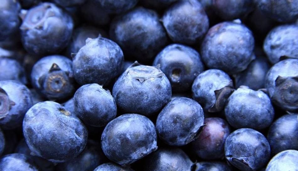 维生素A|你知道蓝莓的营养价值都有哪些吗?挑选蓝莓也是一门学门,收藏!