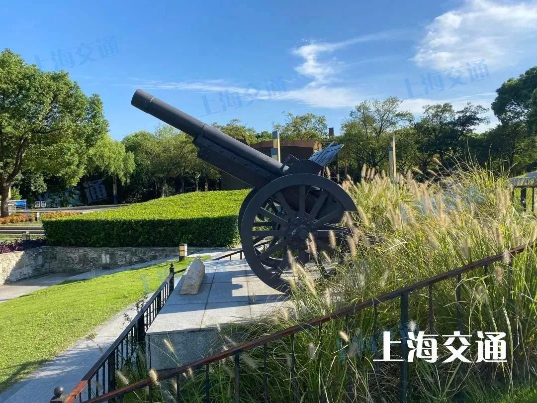 公交线|上海又一滨江岸线开放!乘这条公交线,带你直达阳光沙滩、市郊各种网红景点