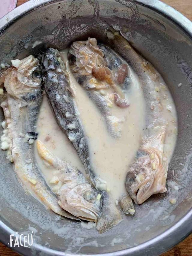  为新鲜|被“误解”最深的一种鱼，6元一斤没人买，比带鱼营养，比鲫鱼香