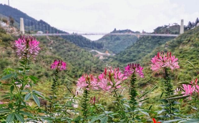  文化底蕴|湖南·邵阳隆回｜有钟灵毓秀的山水，有深厚的文化底蕴