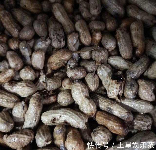  下酒|五香水煮花生，下酒必备小菜