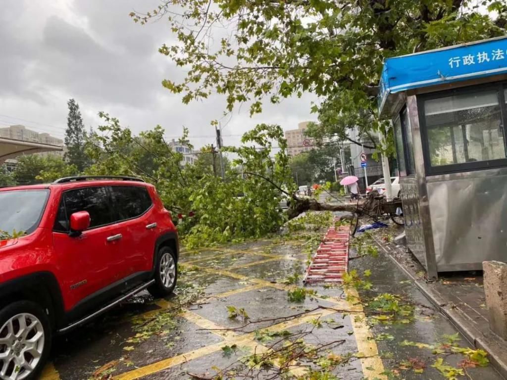 登陆|今天，台州这个地方出现17级大风，温岭这群人开始行动！