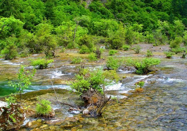  九寨沟|四川旅游：人间仙境九寨沟（图）