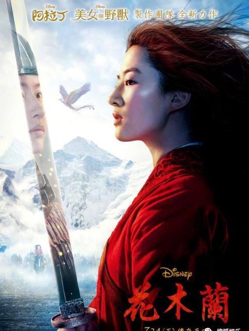  日报|娱乐日报|毛晓彤新恋情曝光？金晨汪汐潮再被拍？孟佳solo倒数第一？