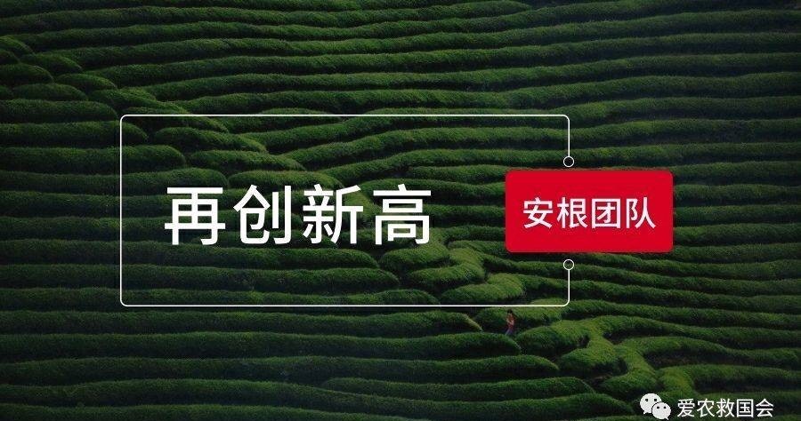 交流|乌龙红茶工艺交流