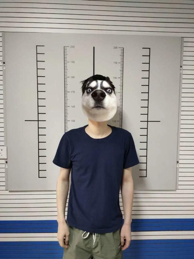 诈骗|千万别这样做！惠安30岁小伙动起歪心思.结果……