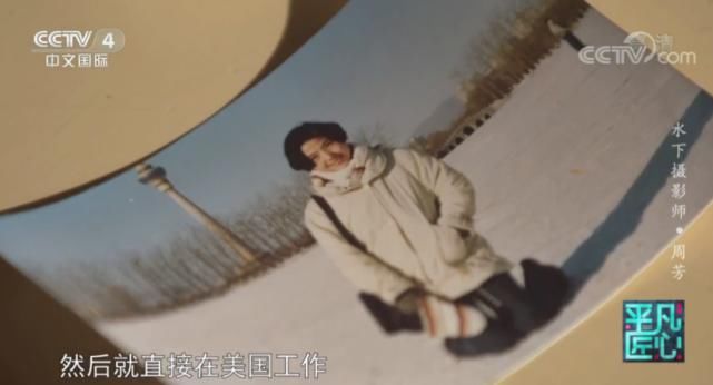 最美|41岁单亲妈妈放弃百万年薪，与鲨鱼共舞，冒死拍出最美水下中国！