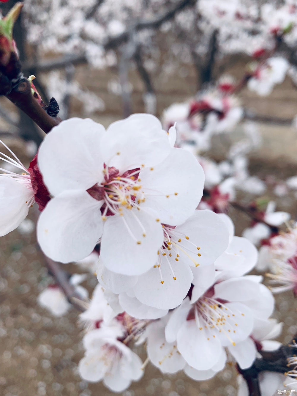  解释|【我们都过了解释的年纪】新的起点，出发吧