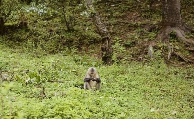  只能|如果今年只能来一次，走这条路线就对了！