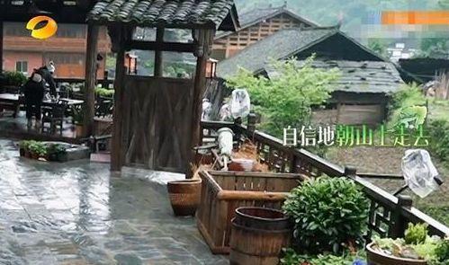 节目|《向往的生活》被批作秀,嘉宾只吃饭不收拾,全靠“保姆”帮忙!