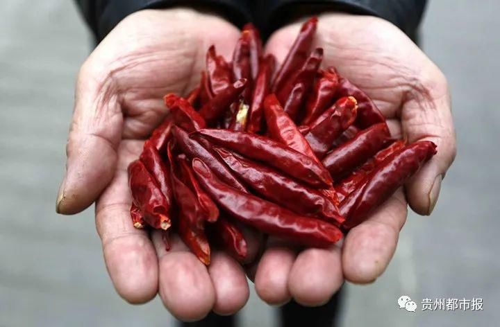  二维码|大数据与乡村振兴 | 当修文猕猴桃遇上二维码