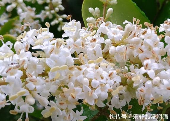 助人为乐|生日是此3个月的人,助人为乐,贵人众多,前途光明,出息不小