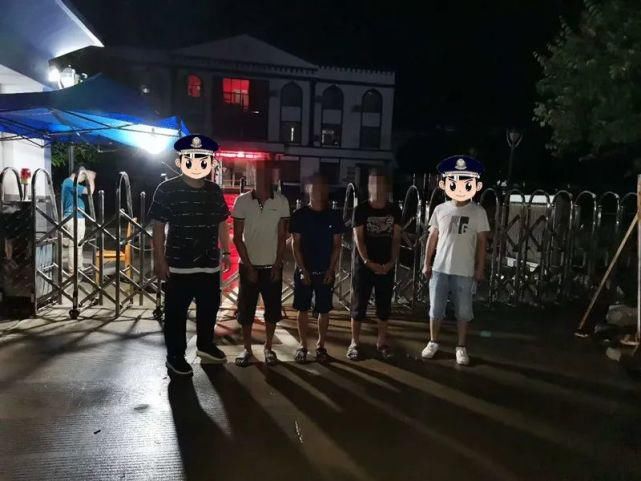  团伙|偷猪变抢猪，70头种猪连夜运走，这个盗窃团伙太嚣张了…