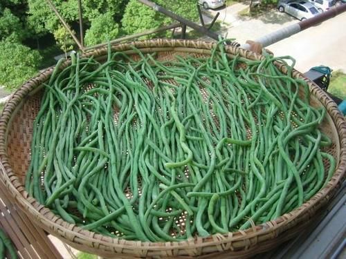  吃饭|天太热孩子不爱吃饭，试试此菜，简单一蒸，“钙铁锌硒”全齐了