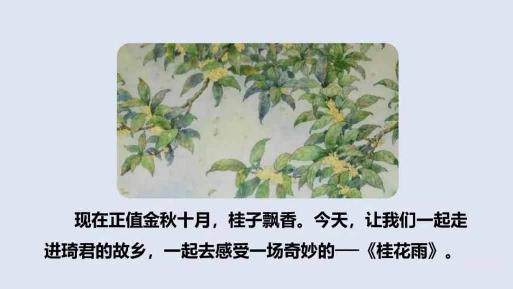 桂花|【预习】部编版五年级语文上册第3课《桂花雨》图文讲解