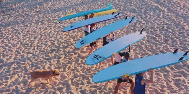 夏日|《夏日冲浪店》上线!黄轩自称带资进组,王一博变身“小话痨”