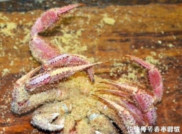 海鲜市场|在韩国买螃蟹,螃蟹不在水里,而是埋在木头里,这是什么原因呢