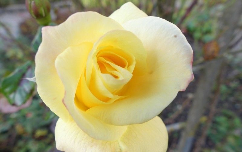 扎堆|7月开始事业名利双收,喜事扎堆来,横财入口袋的四大属相