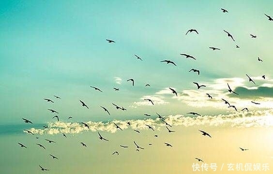  哭泣|别为失去的哭泣，为还留在你身边的一切微笑吧，你可以更幸福的