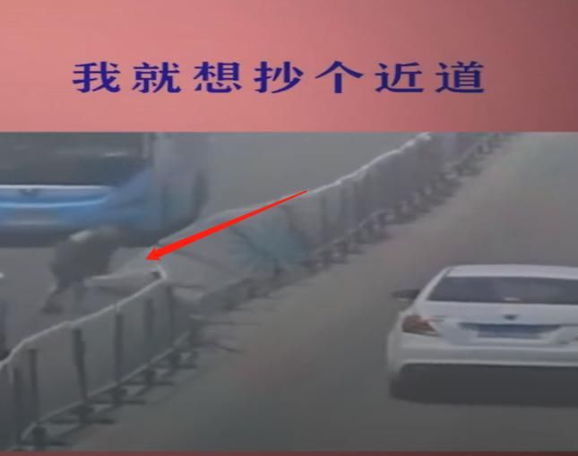  护栏|过马路超近道推倒百米护栏，交警：放心不贵，1米也就1500