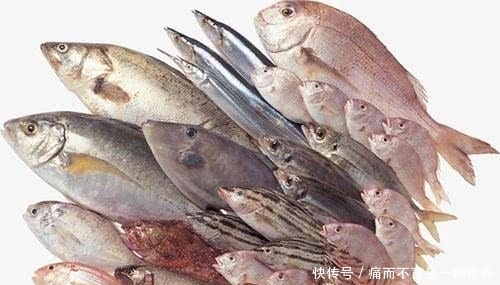 古人|为什么古人把“海鲜”称为“海错”?谈谈中国人吃海鲜的历史