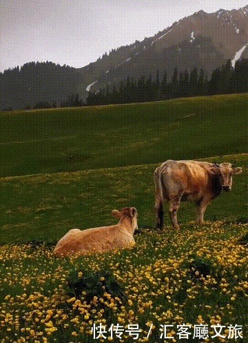 自驾|憋疯了!15条醉美新疆自驾线,正适合七八月挑一条出发!