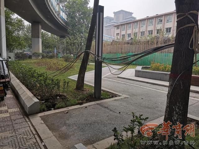 出入口被封|西安大兴西路一带状公园出入口被木棍封锁 市民无法出入