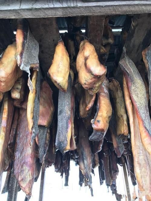 土豪|这种肉一般土豪都吃不起,必须腐烂之后才能吃还有一股尿骚味