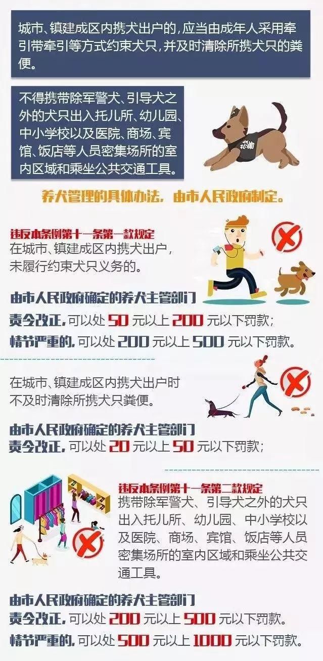  围追堵截|恶犬伤人！德清警方围追堵截，将其就地击毙