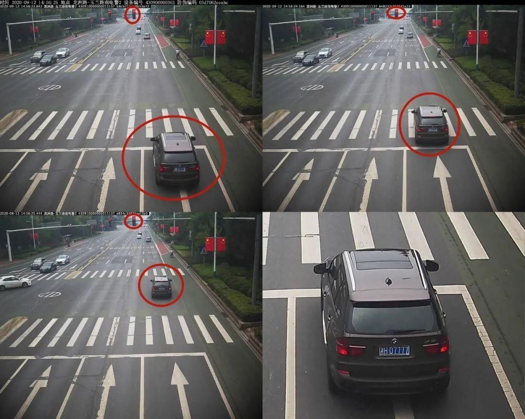 驾驶机动车违反道路|闯红灯、斑马线前不礼让行人，看看都有谁？