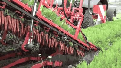 世界|德国凭这几张照片，再次震撼世界！太牛了