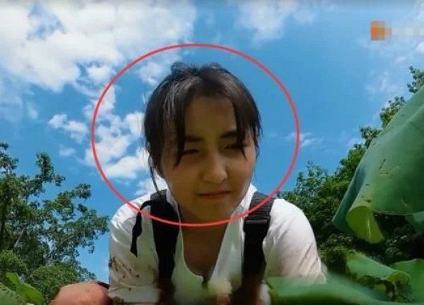子枫妹妹|张子枫下田干活,当镜头特写时,有无作秀很明显