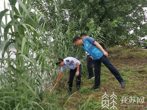  对太浦河|太湖水位连续17天超警 太浦河以每秒700多立方加大泄洪力度