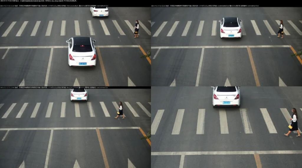 车辆|创城交警在行动丨不礼让斑马线,这些车辆被曝光了!