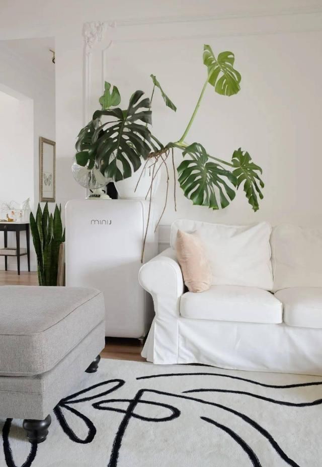  吊钟|她们的家，美得很让人种草