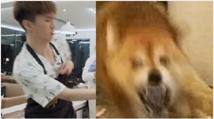  综艺节目|《做家务的男人2》郭麒麟和范丞丞合租，为何综艺节目都爱他？