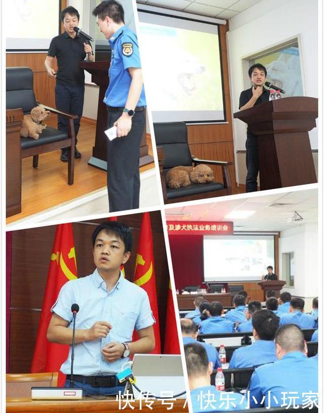  发狂|“第一猛犬”发狂咬土狗32秒，5岁女孩赤手空拳阻止，场面惊心