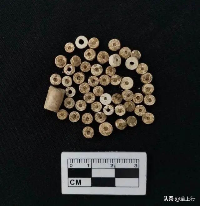  罕见|罕见！学校足球场发现3000㎡古墓，单坑19颗头骨