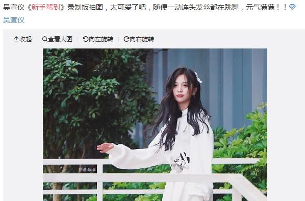  满意|这是下半年的综艺，广告主您满意吗？