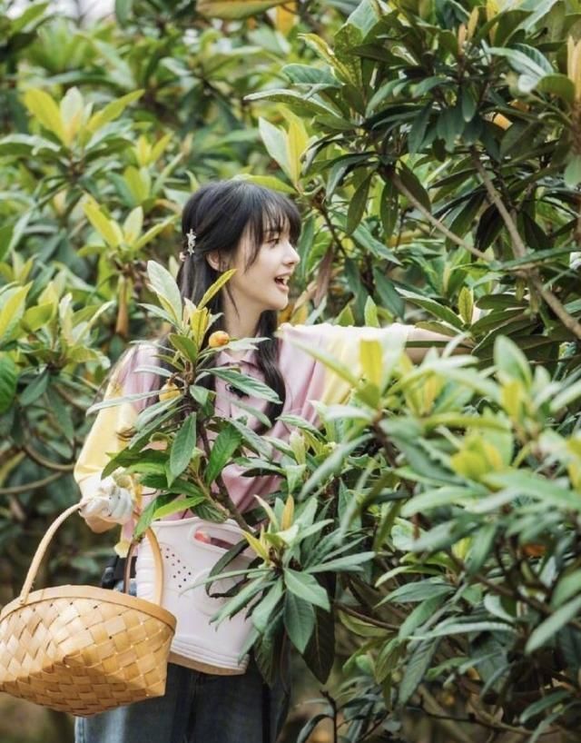  就连杨迪|郑爽放不开？《青春环游记》给她三个标签，可一点没浪费