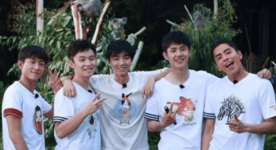  都特别|“被迫停播”6档综艺，第2压根没播，最后一档因收视太高被叫停