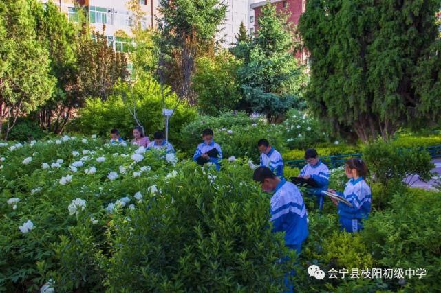 枝阳|会宁枝阳中学致家长的一封信