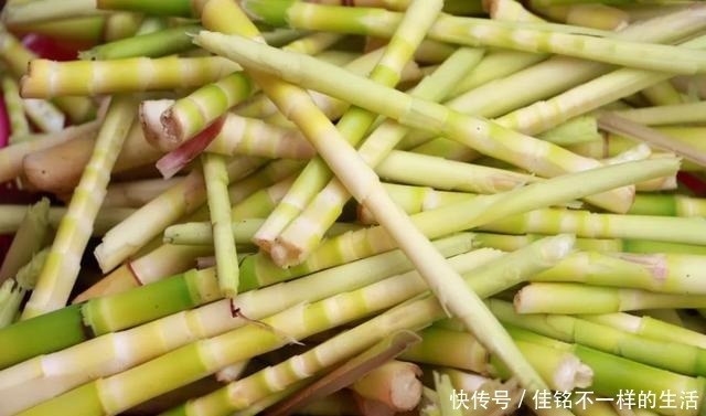 美食|舌尖上的周宁——深山“冒”美食