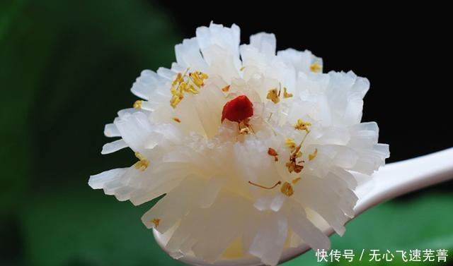 南瓜|九月该吃蒸菜了,香甜软糯营养高,蒸一蒸就上桌,好吃不上火