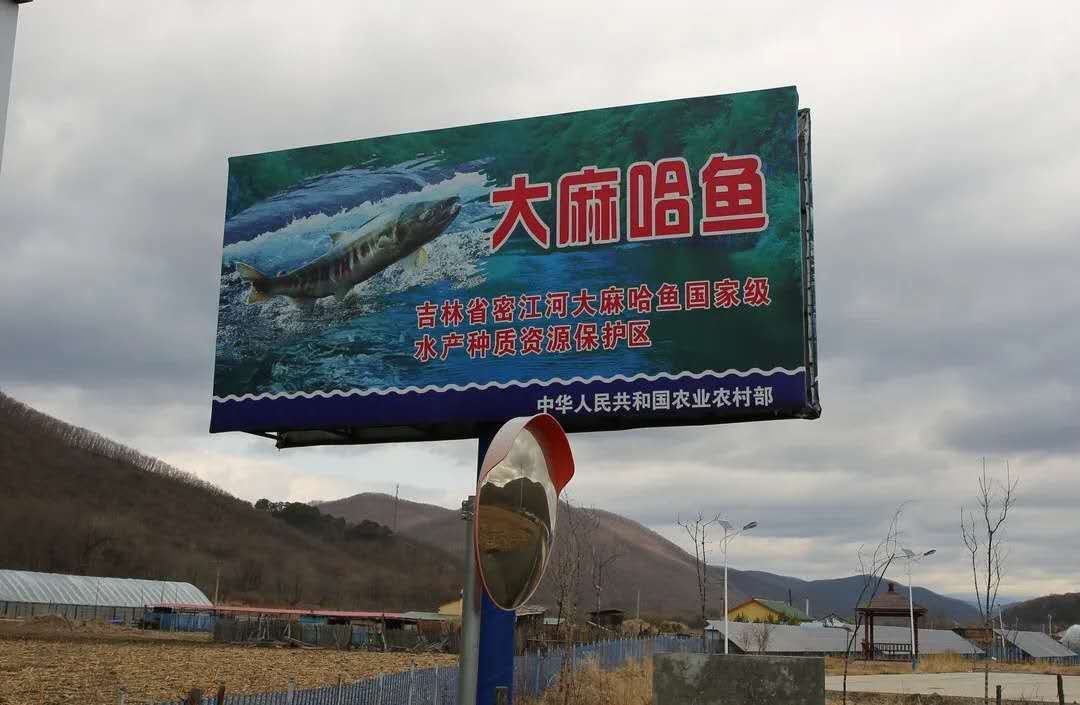  守护|吉林珲春市人民检察院强化责任担当 守护青山绿水